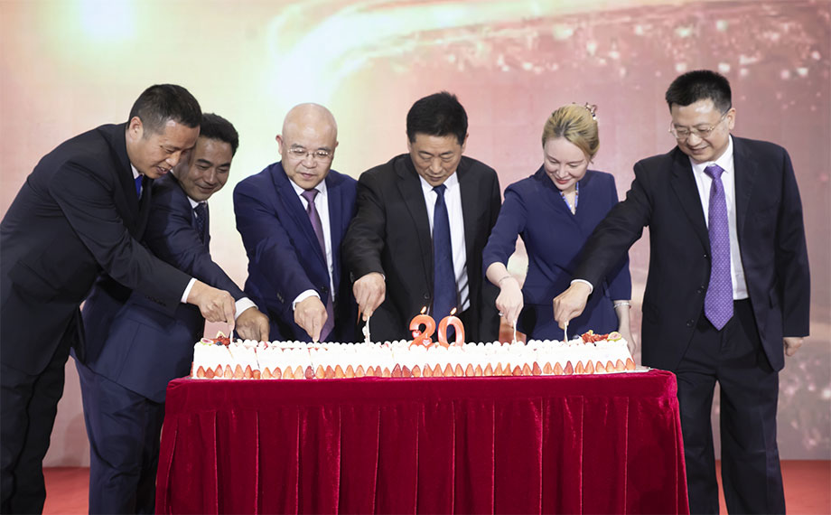 二十周年庆运动